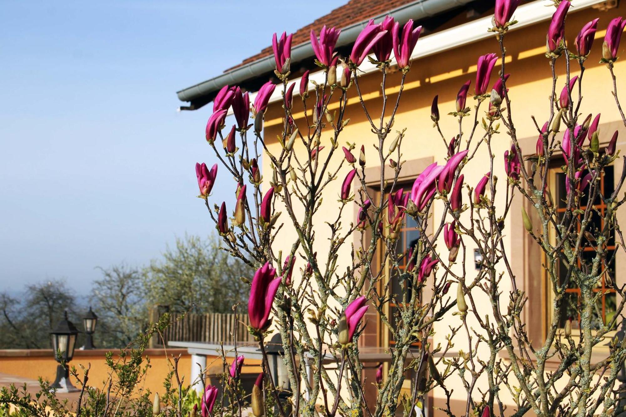 Maison Villabella Butten Exteriér fotografie